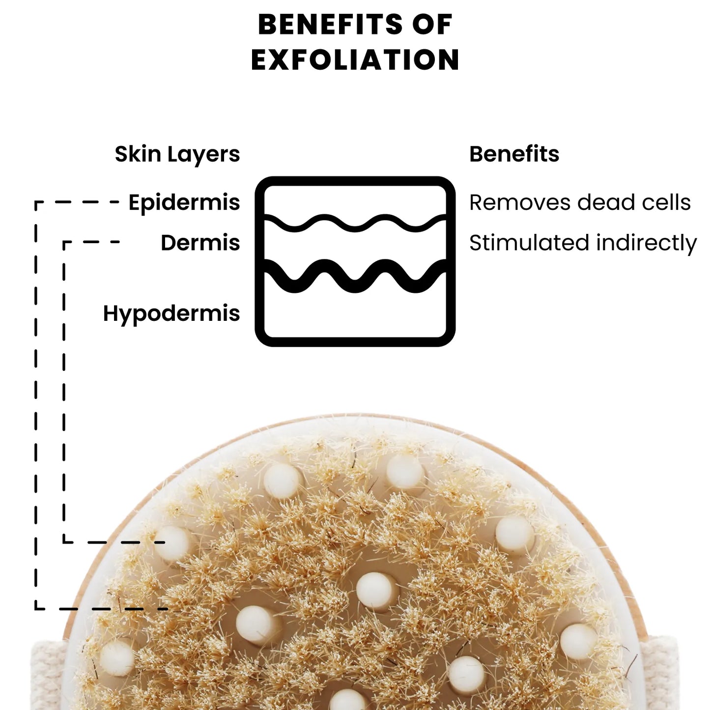 100% Natural Exfoliation Set (5-in-1 Kit)