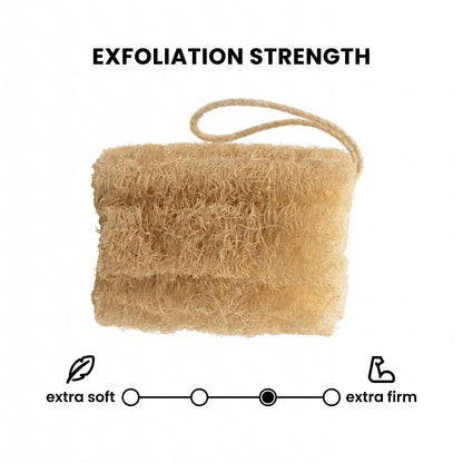 Natural Egyptian Loofah Sponge