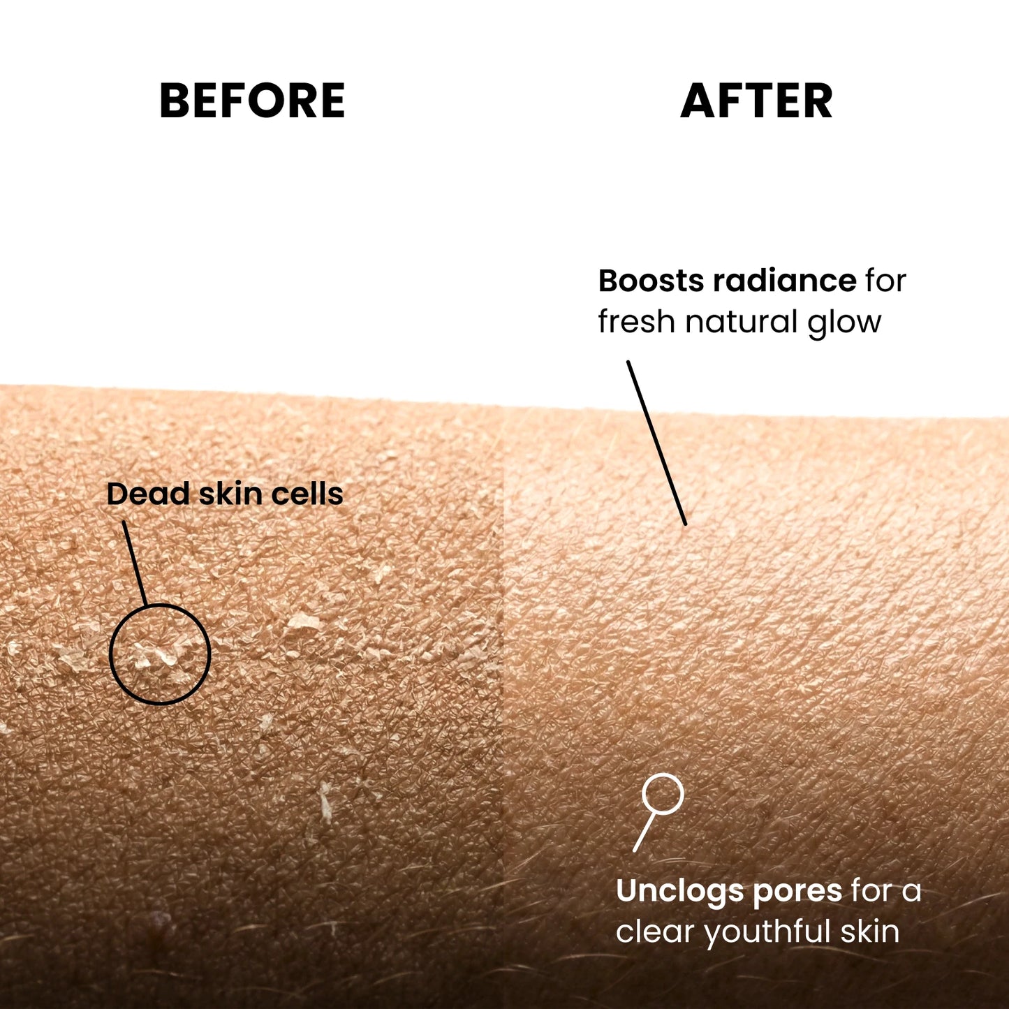 Natural Egyptian Loofah Sponge